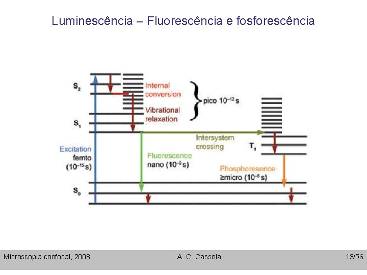 Luminescência – Fluorescência e fosforescência Microscopia confocal, 2008 A. C. Cassola 13/56 
