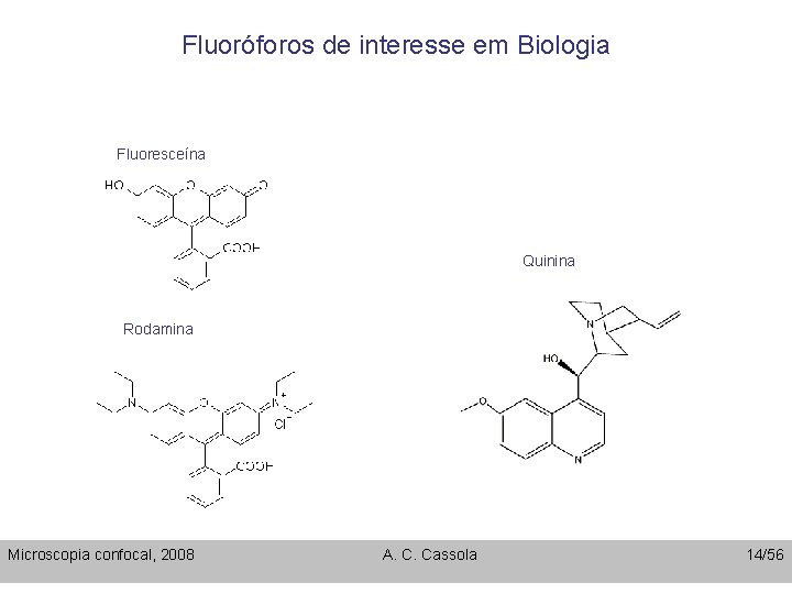 Fluoróforos de interesse em Biologia Fluoresceína Quinina Rodamina Microscopia confocal, 2008 A. C. Cassola