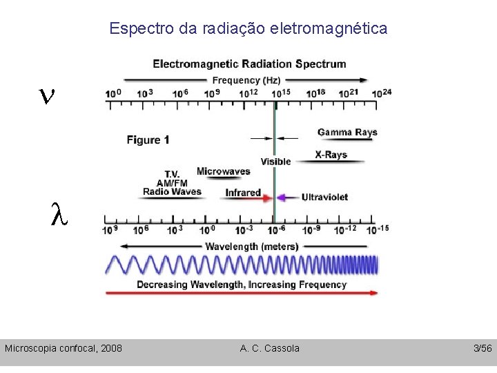 Espectro da radiação eletromagnética n l Microscopia confocal, 2008 A. C. Cassola 3/56 