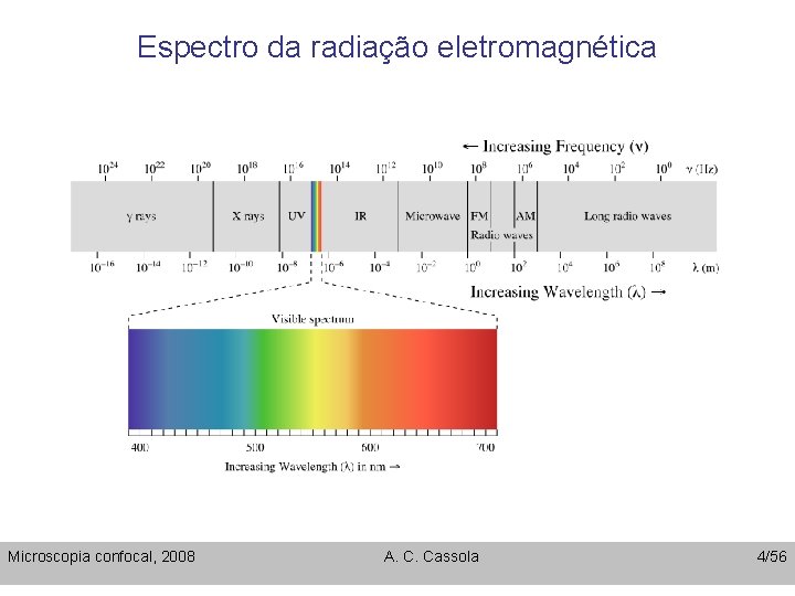 Espectro da radiação eletromagnética Microscopia confocal, 2008 A. C. Cassola 4/56 