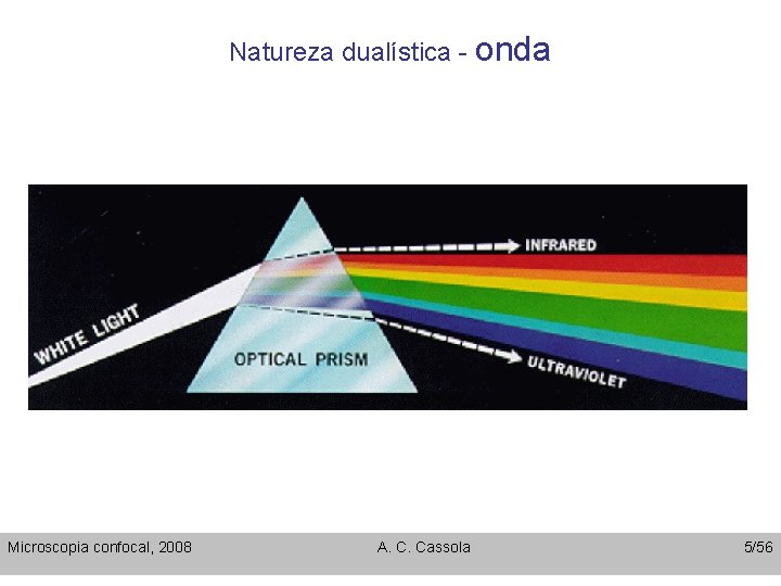 Natureza dualística - onda Microscopia confocal, 2008 A. C. Cassola 5/56 