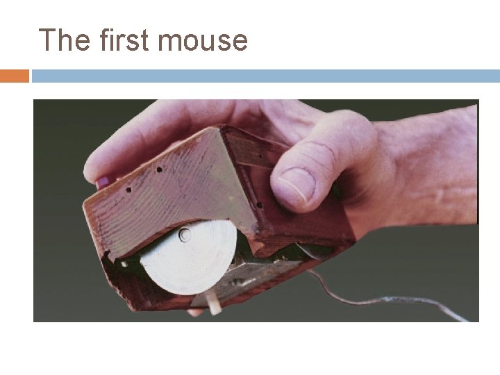 The first mouse 