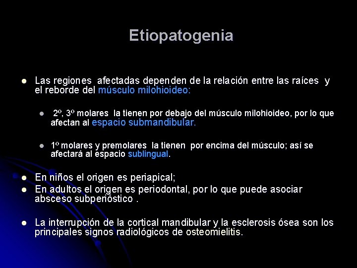 Etiopatogenia l l Las regiones afectadas dependen de la relación entre las raíces y