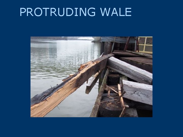 PROTRUDING WALE 