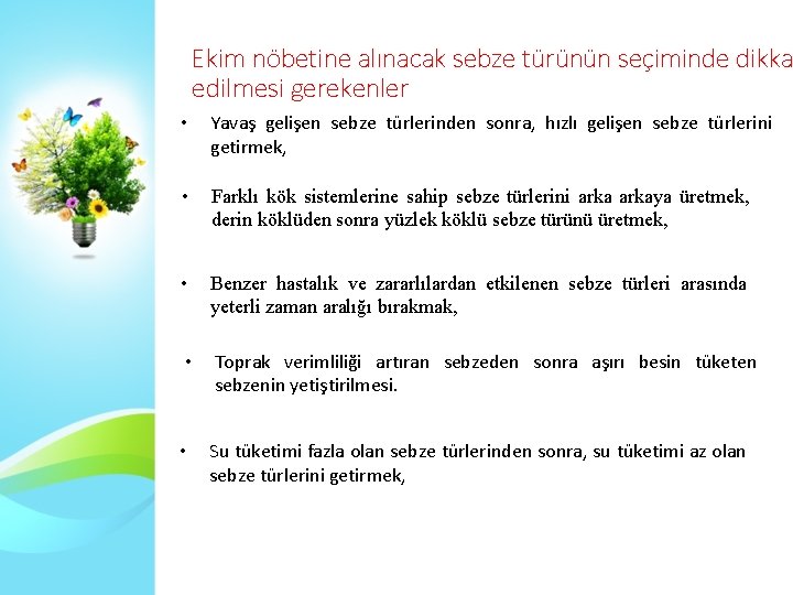 Ekim nöbetine alınacak sebze türünün seçiminde dikka edilmesi gerekenler • Yavaş gelişen sebze türlerinden