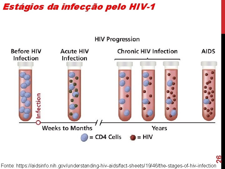 26 Estágios da infecção pelo HIV-1 Fonte: https: //aidsinfo. nih. gov/understanding-hiv-aids/fact-sheets/19/46/the-stages-of-hiv-infection 