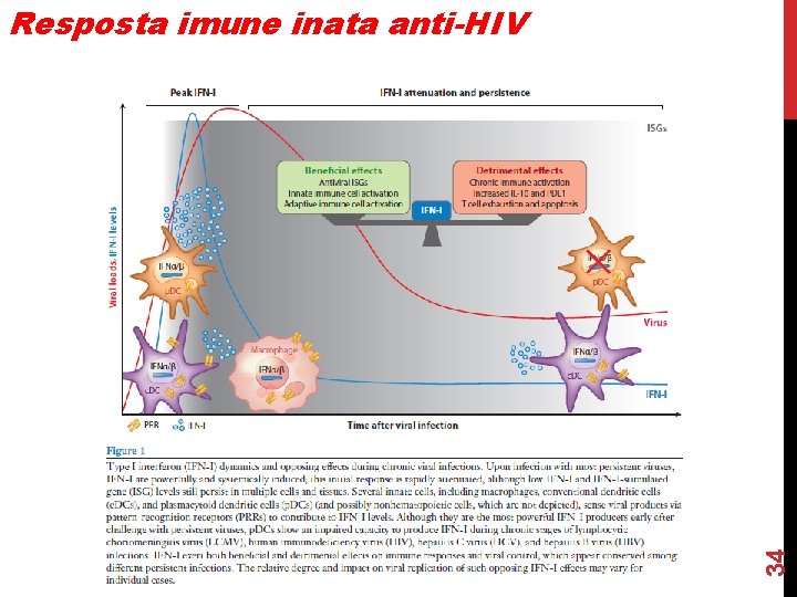 34 Resposta imune inata anti-HIV 