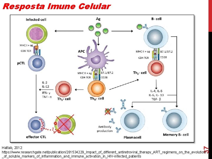 Resposta Imune Celular 37 Hattab, 2012: https: //www. researchgate. net/publication/281534229_Impact_of_different_antiretroviral_therapy_ART_regimens_on_the_evolution _of_soluble_markers_of_inflammation_and_immune_activation_in_HIV-infected_patients 