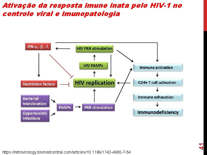 41 Ativação da resposta imune inata pelo HIV-1 no controle viral e imunopatologia https: 41 Ativação da resposta imune inata pelo HIV-1 no controle viral e imunopatologia https: