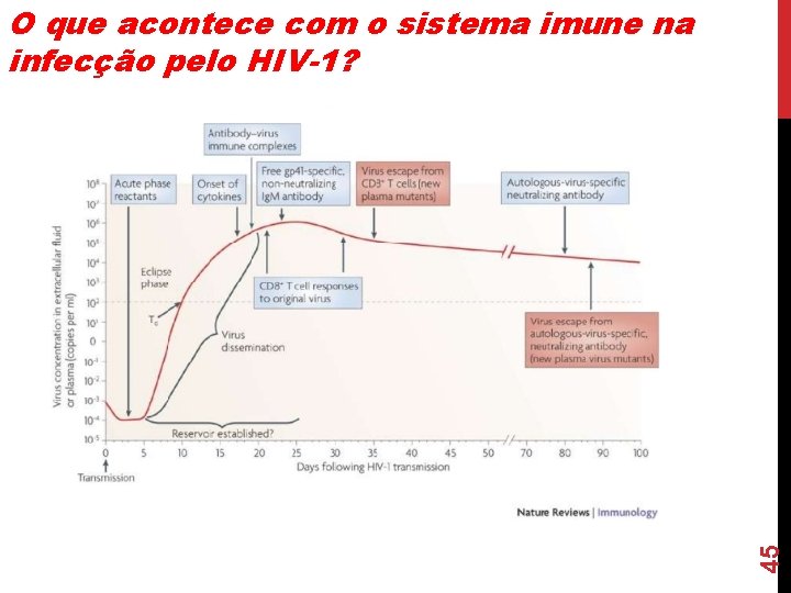 45 O que acontece com o sistema imune na infecção pelo HIV-1? 