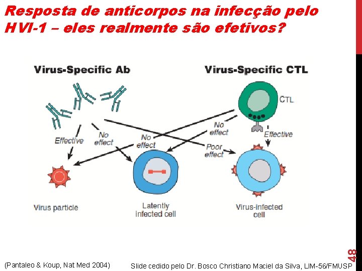 (Pantaleo & Koup, Nat Med 2004) 48 Resposta de anticorpos na infecção pelo HVI-1 (Pantaleo & Koup, Nat Med 2004) 48 Resposta de anticorpos na infecção pelo HVI-1