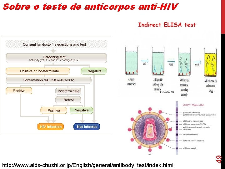 http: //www. aids-chushi. or. jp/English/general/antibody_test/index. html 49 Sobre o teste de anticorpos anti-HIV http: //www. aids-chushi. or. jp/English/general/antibody_test/index. html 49 Sobre o teste de anticorpos anti-HIV