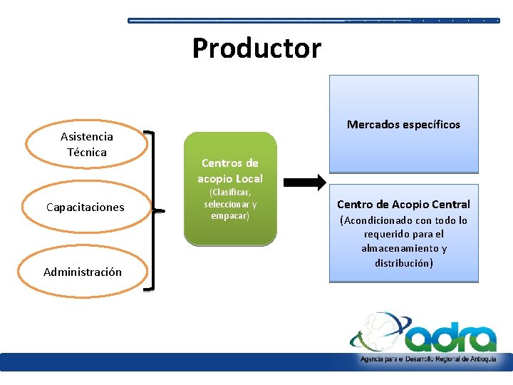 Productor Asistencia Técnica Capacitaciones Administración Mercados específicos Centros de acopio Local (Clasificar, seleccionar y