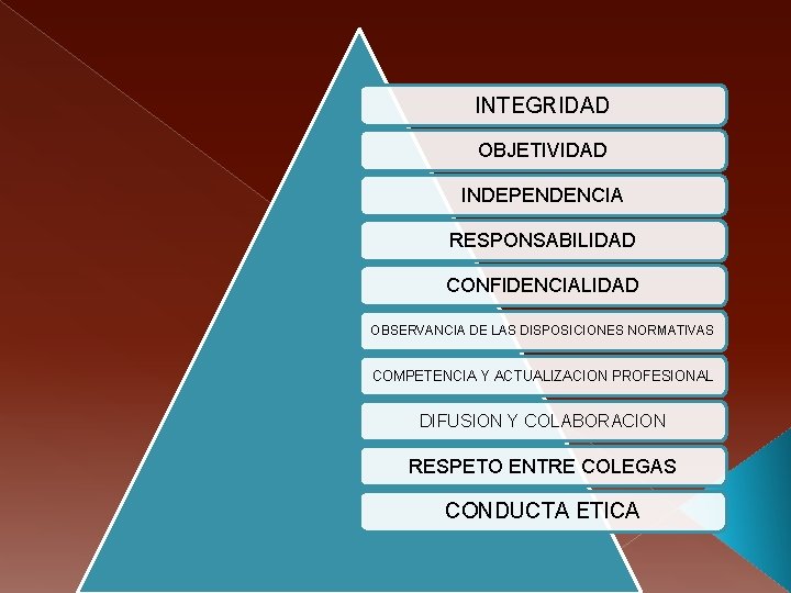 INTEGRIDAD OBJETIVIDAD INDEPENDENCIA RESPONSABILIDAD CONFIDENCIALIDAD OBSERVANCIA DE LAS DISPOSICIONES NORMATIVAS COMPETENCIA Y ACTUALIZACION PROFESIONAL