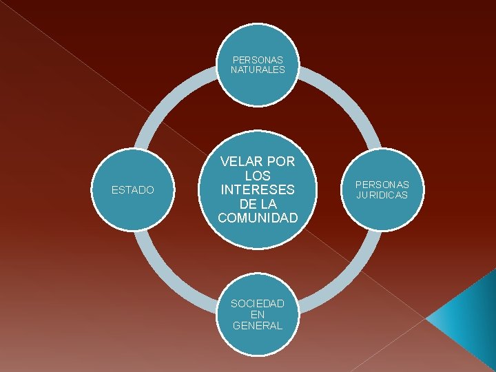 PERSONAS NATURALES ESTADO VELAR POR LOS INTERESES DE LA COMUNIDAD SOCIEDAD EN GENERAL PERSONAS