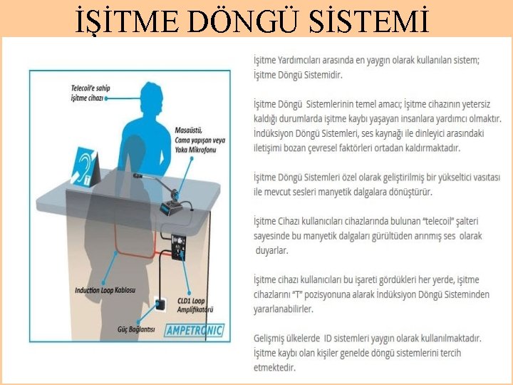 İŞİTME DÖNGÜ SİSTEMİ 