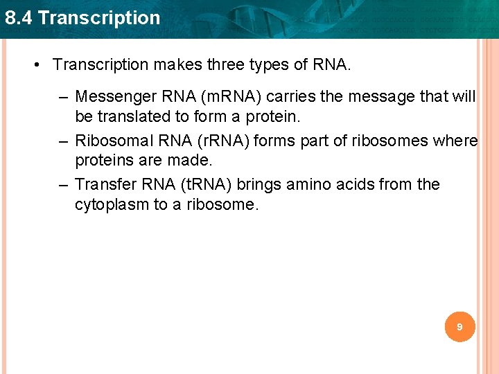 8. 4 Transcription • Transcription makes three types of RNA. – Messenger RNA (m.