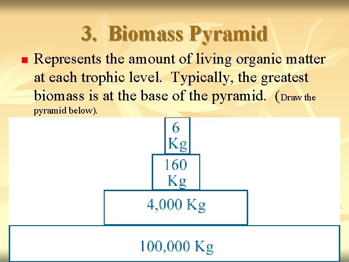 3. Biomass Pyramid n Represents the amount of living organic matter at each trophic