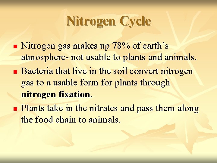 Nitrogen Cycle n n n Nitrogen gas makes up 78% of earth’s atmosphere- not