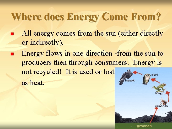 Where does Energy Come From? n n All energy comes from the sun (either