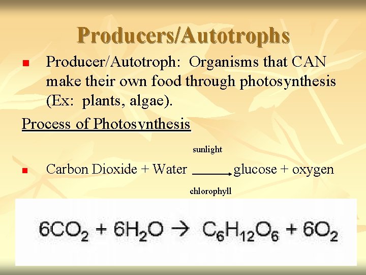 Producers/Autotrophs Producer/Autotroph: Organisms that CAN make their own food through photosynthesis (Ex: plants, algae).