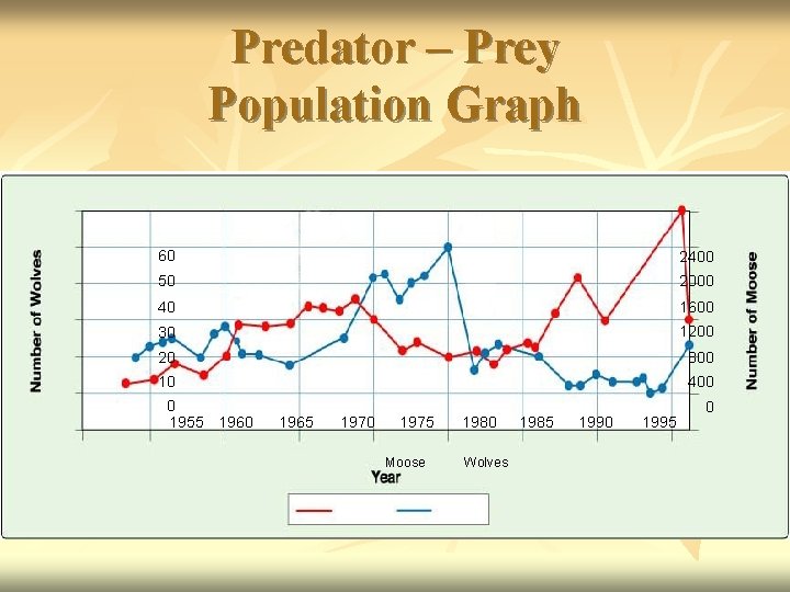 Predator – Prey Population Graph 60 2400 50 2000 40 1600 30 1200 20