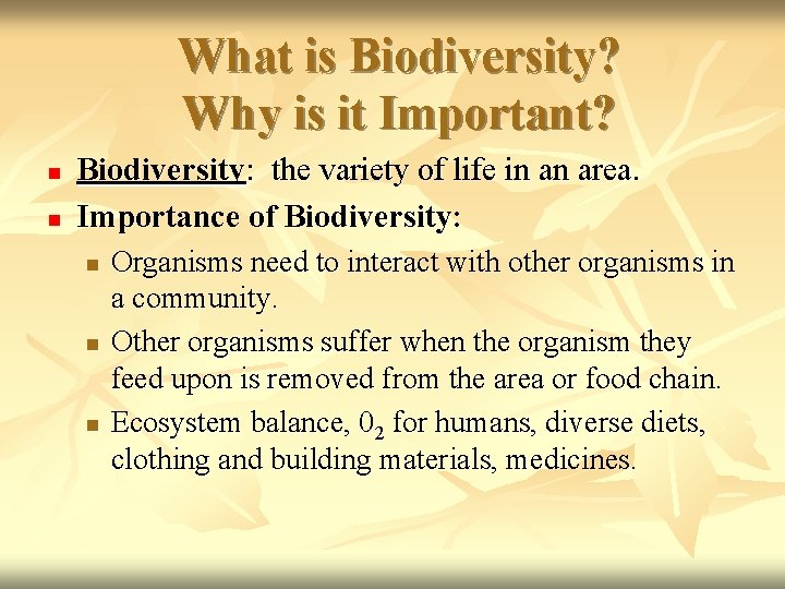 What is Biodiversity? Why is it Important? n n Biodiversity: the variety of life