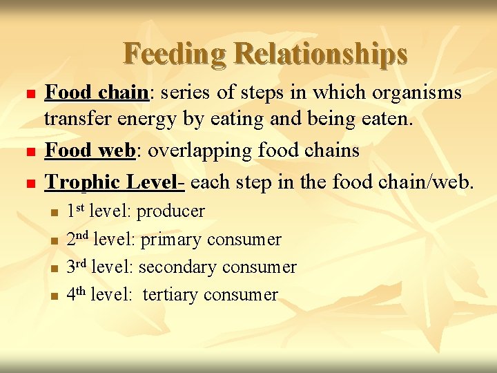 Feeding Relationships n n n Food chain: series of steps in which organisms transfer