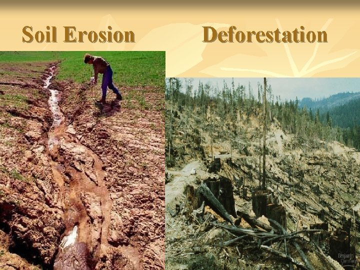 Soil Erosion Deforestation 