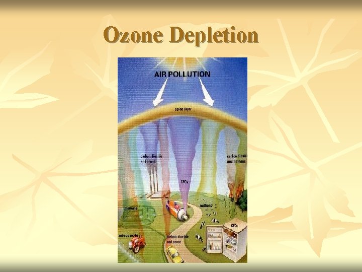 Ozone Depletion 