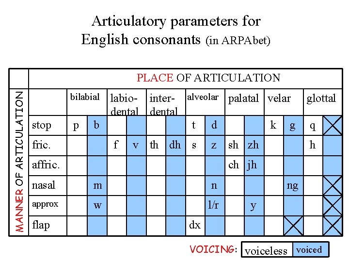 Articulatory parameters for English consonants (in ARPAbet) MANNER OF ARTICULATION PLACE OF ARTICULATION bilabial