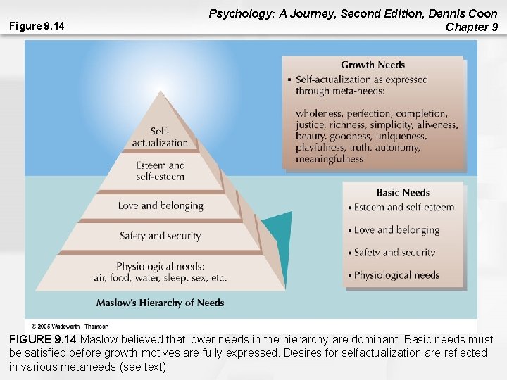 Figure 9. 14 Psychology: A Journey, Second Edition, Dennis Coon Chapter 9 FIGURE 9. Figure 9. 14 Psychology: A Journey, Second Edition, Dennis Coon Chapter 9 FIGURE 9.