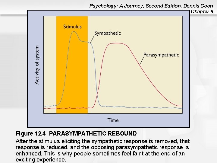 Psychology: A Journey, Second Edition, Dennis Coon Chapter 9 Figure 12. 4 PARASYMPATHETIC REBOUND Psychology: A Journey, Second Edition, Dennis Coon Chapter 9 Figure 12. 4 PARASYMPATHETIC REBOUND