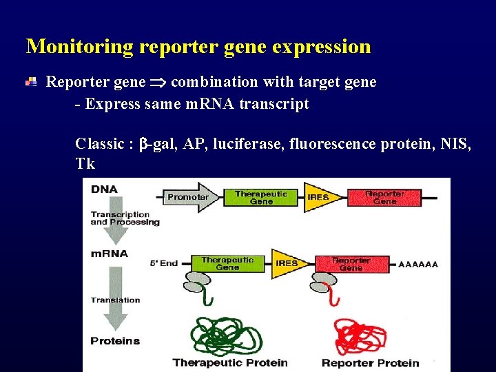 Molecular Imaging of Cancer Jae Min Jeong Ph
