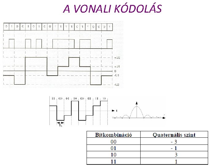 A VONALI KÓDOLÁS 