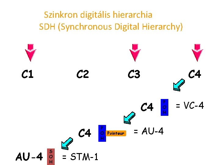 Szinkron digitális hierarchia SDH (Synchronous Digital Hierarchy) C 1 C 2 C 3 C