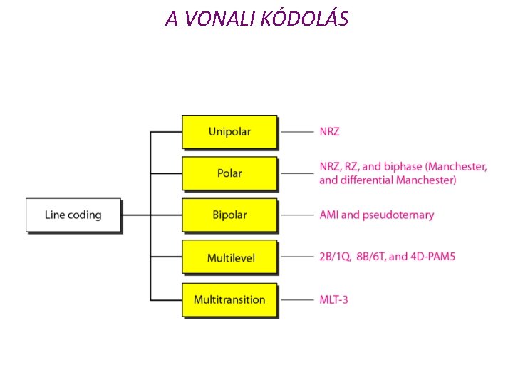 A VONALI KÓDOLÁS 