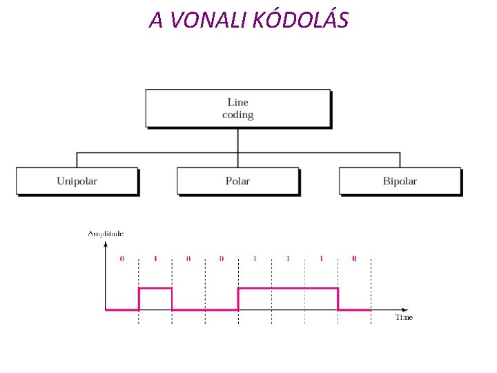 A VONALI KÓDOLÁS 