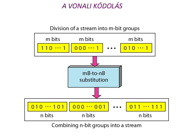 A VONALI KÓDOLÁS 