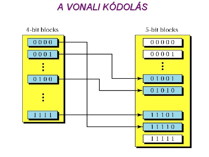 A VONALI KÓDOLÁS 