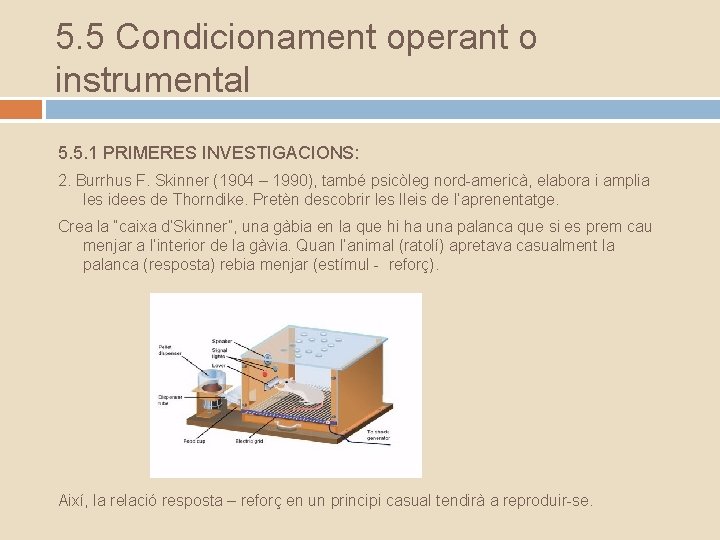 5. 5 Condicionament operant o instrumental 5. 5. 1 PRIMERES INVESTIGACIONS: 2. Burrhus F.