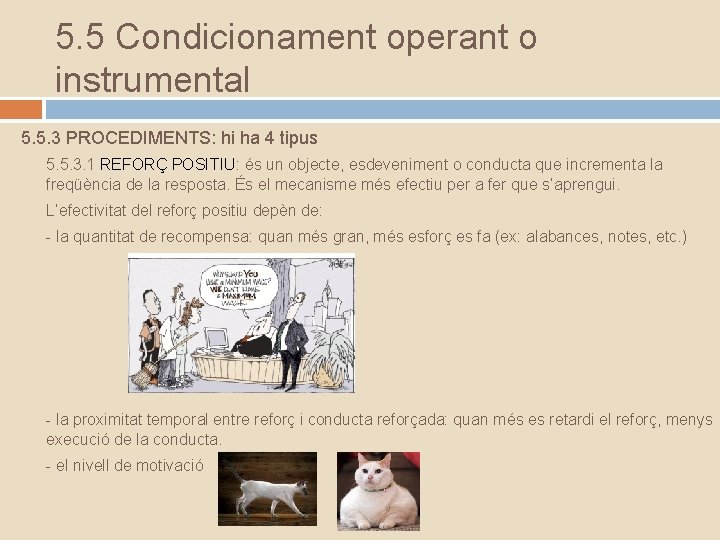 5. 5 Condicionament operant o instrumental 5. 5. 3 PROCEDIMENTS: hi ha 4 tipus