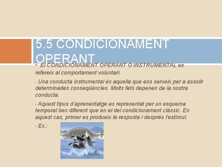 5. 5 CONDICIONAMENT OPERANT • El CONDICIONAMENT OPERANT O INSTRUMENTAL es refereix al comportament