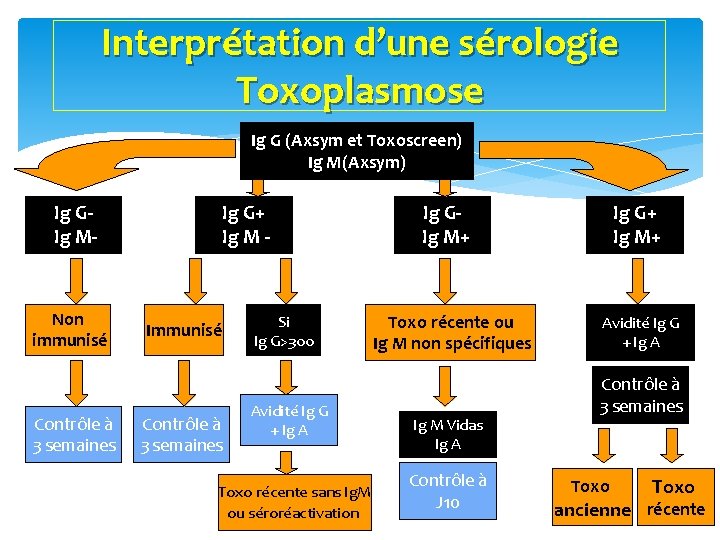 Interprétation d’une sérologie Toxoplasmose Ig G (Axsym et Toxoscreen) Ig M(Axsym) Ig G Ig