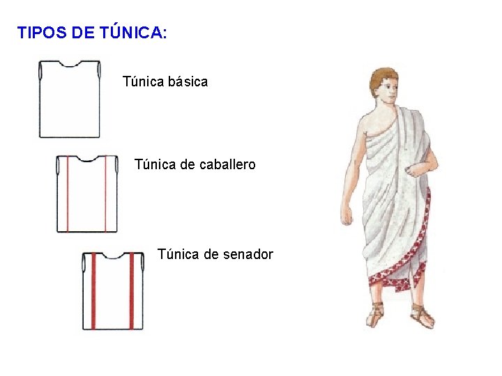 TIPOS DE TÚNICA: Túnica básica Túnica de caballero Túnica de senador 