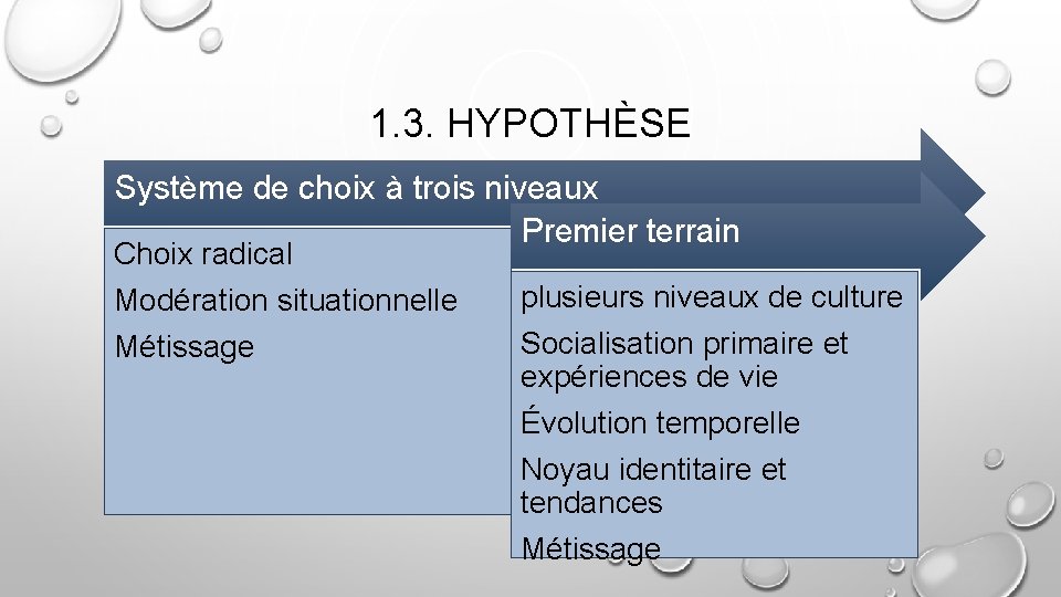 1. 3. HYPOTHÈSE Système de choix à trois niveaux Premier terrain Choix radical Modération