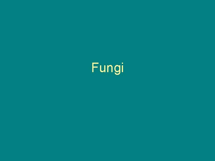 Fungi 