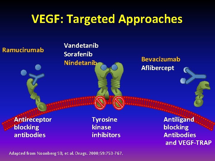 VEGF: Targeted Approaches Ramucirumab Antireceptor blocking antibodies Vandetanib Sorafenib Nindetanib Tyrosine kinase inhibitors Adapted