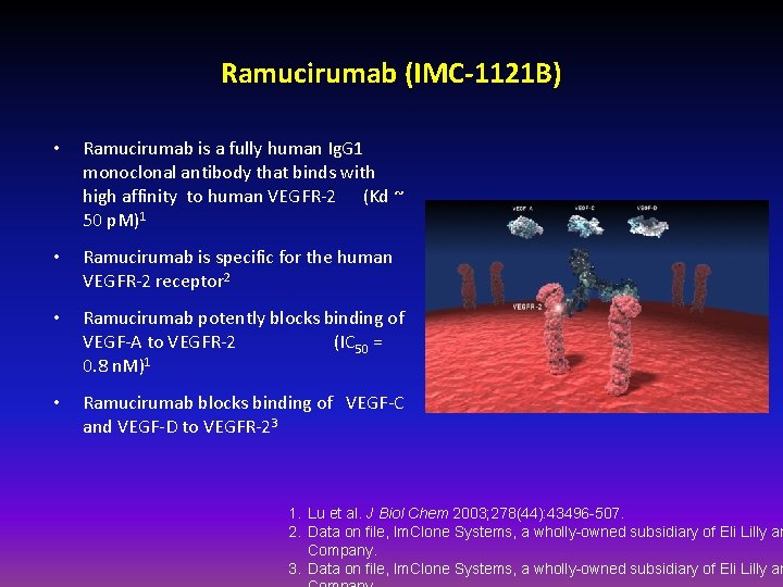 Ramucirumab (IMC-1121 B) • Ramucirumab is a fully human Ig. G 1 monoclonal antibody