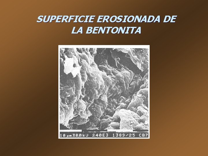 SUPERFICIE EROSIONADA DE LA BENTONITA 
